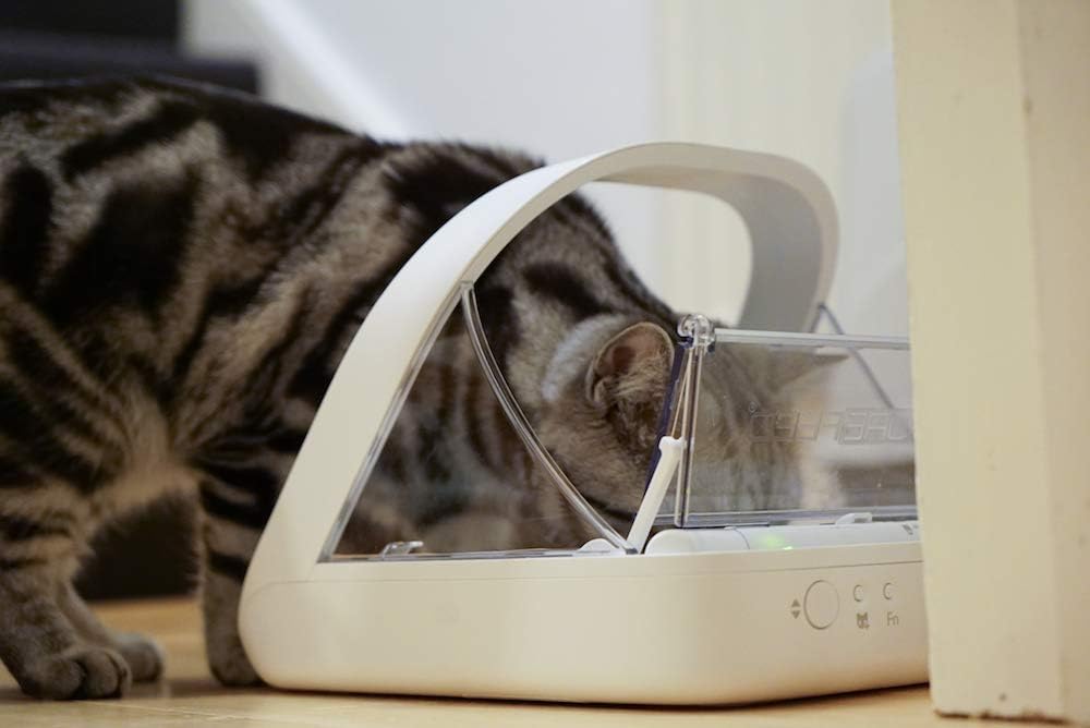 Sure Petcare -SureFlap - SureFeed - Microchip Pet Feeder - Selective-Automatic Pet Feeder Makes Meal Times Stress-Free, Suitable for Both Wet and Dry Food - MPF001 | Product image 3