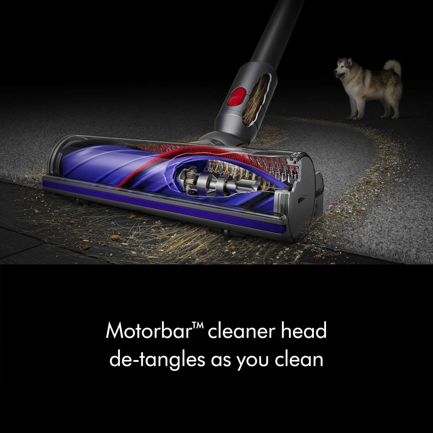 Dyson V8 Plus Cordless Vacuum, Cleans Hard Floors and Carpets, Detangles, Converts to Handheld, 115AW, 2 Power Modes, Up to 40 Minutes¹ | Product image 5