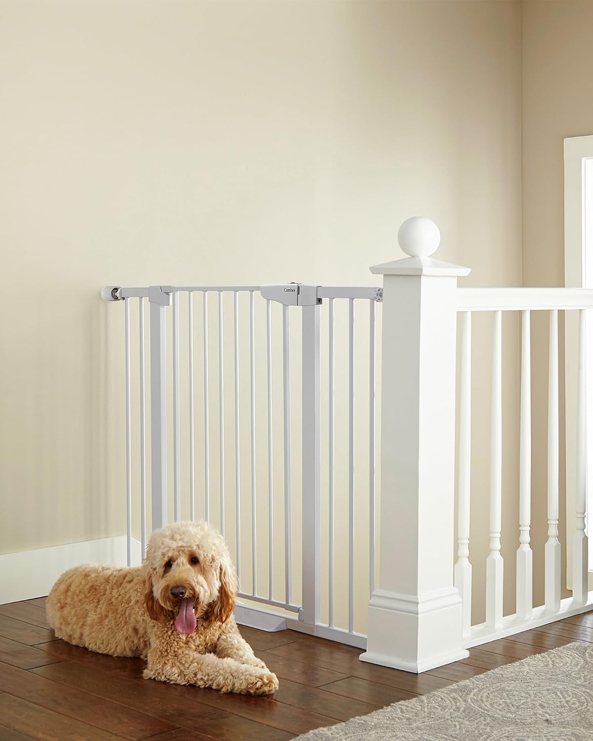 30-46" Baby Gate for Stairs, Auto Close Dog Gate for the House Black | Easy Install Pressure Mounted Pet Gates for Doorway, Dual Lock Indoor Safety Gate for Baby & Dog, Mom's Choice Awards Winner
