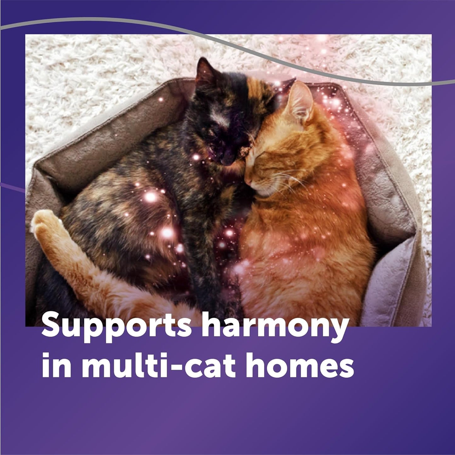 FELIWAY Optimum Cat Calming Pheromone Diffuser Refill - 6 Pack | Advanced Support to Help Reduce Urine Spraying, Scratching, Fighting & Hiding Due to Stress, 180 Day Supply | Product image 4